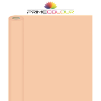 PrimeColour Beige Photography Paper Roll Backdrop 2.72m x 10m